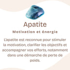 [MODÈLE UNIQUE] Bracelet "Motivation" en Apatite Bleue & Argent 925 - Pièce de Bijouterie - REF5