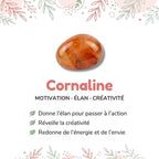 Vertus de la pierre : Cornaline