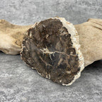 Tranche "Lacher Prise" en Bois Fossile (223g) Ref : B10 - lespierresdubienetre
